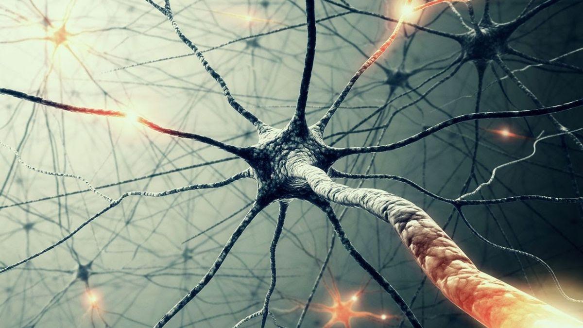 A Novel Neural Network to Understand Symmetry, Speed Materials Research |  Lehigh University