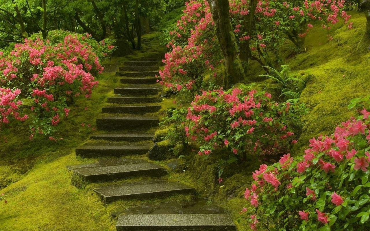 1280x800 Japanese Garden Washington Park Landscape Desktop Wallpaper