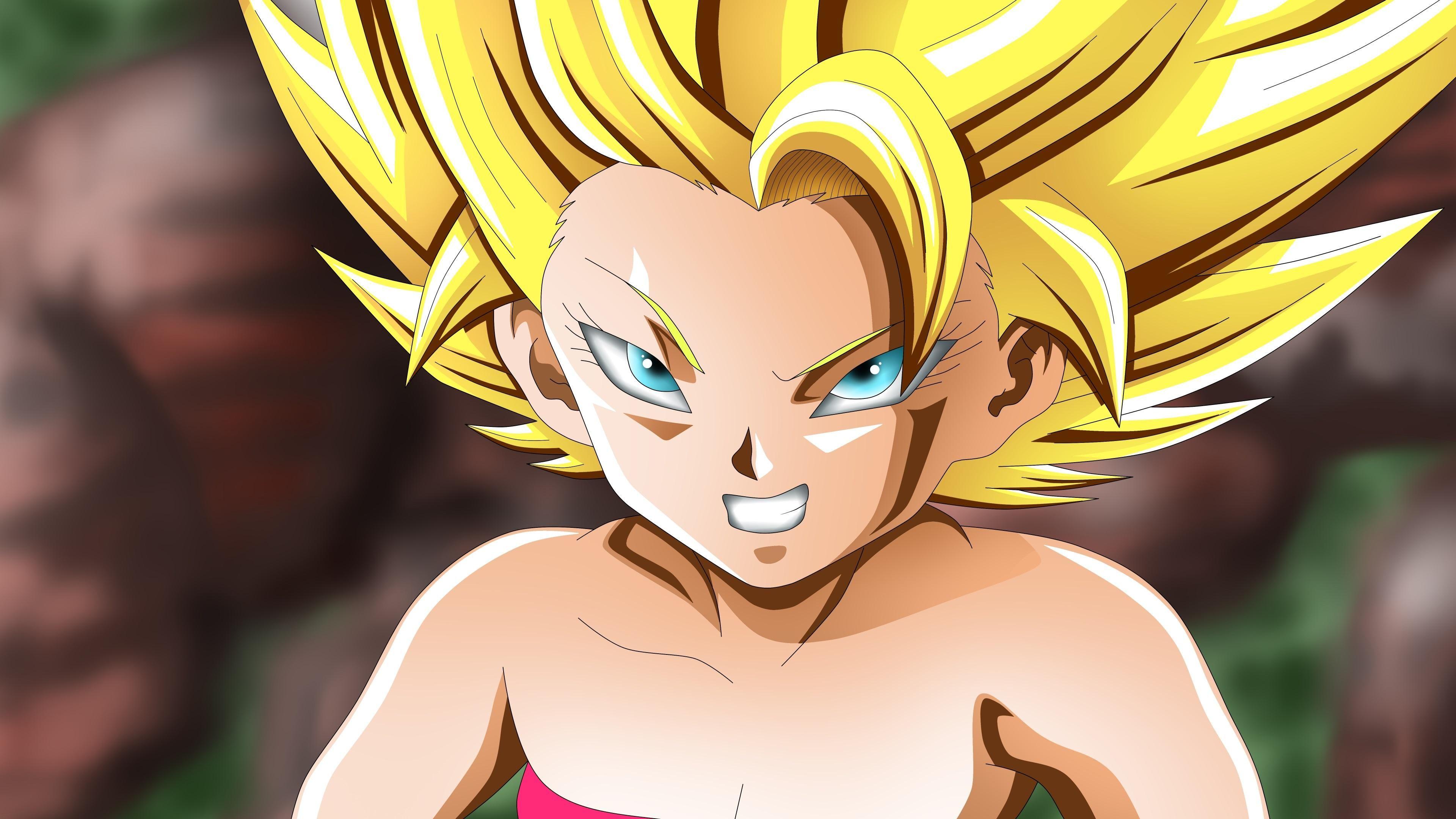 3840x2160 Dragon Ball Z Super HD Wallpaper
