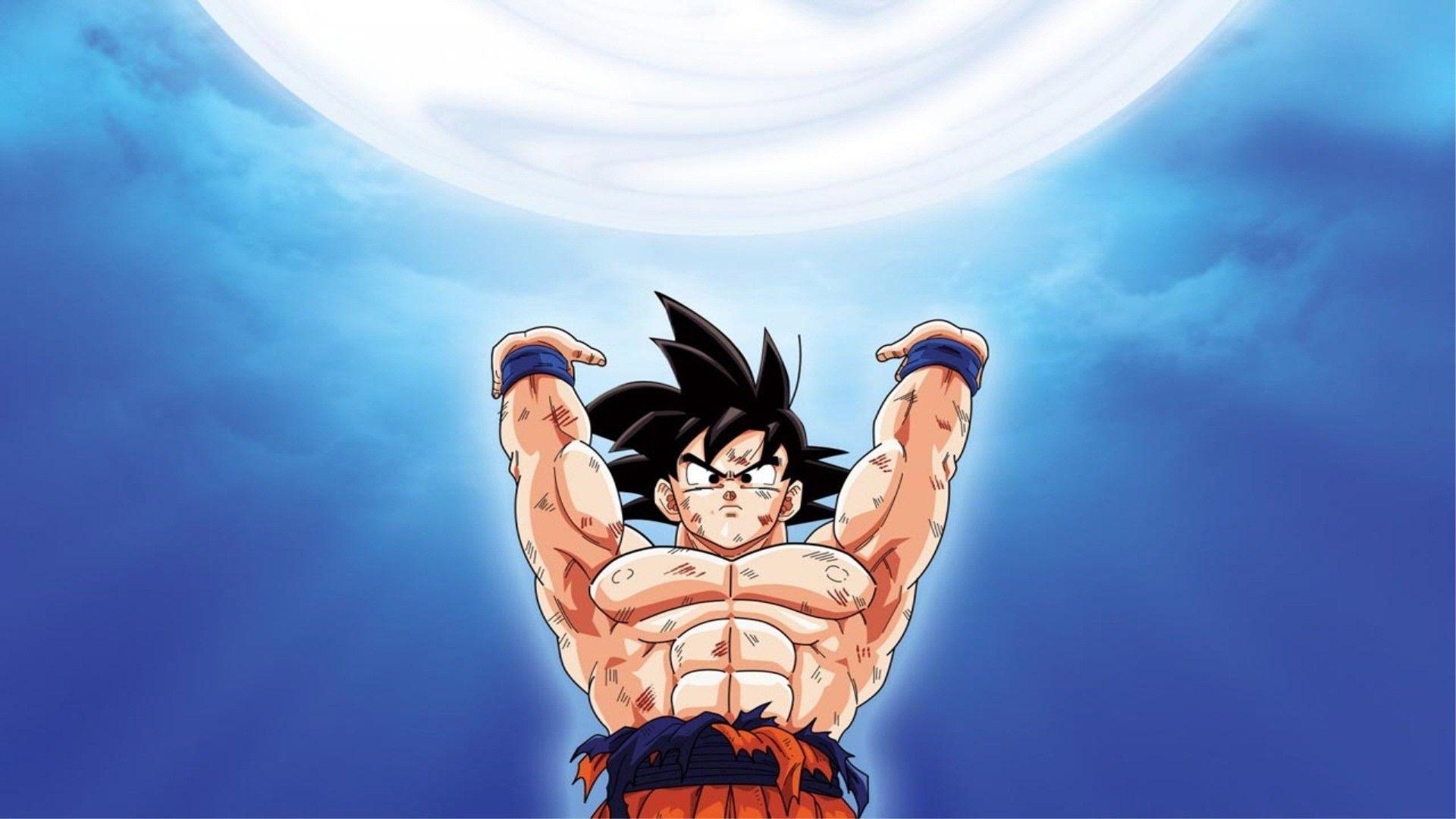 1920x1080 Dragon Ball Z HD Wallpaper