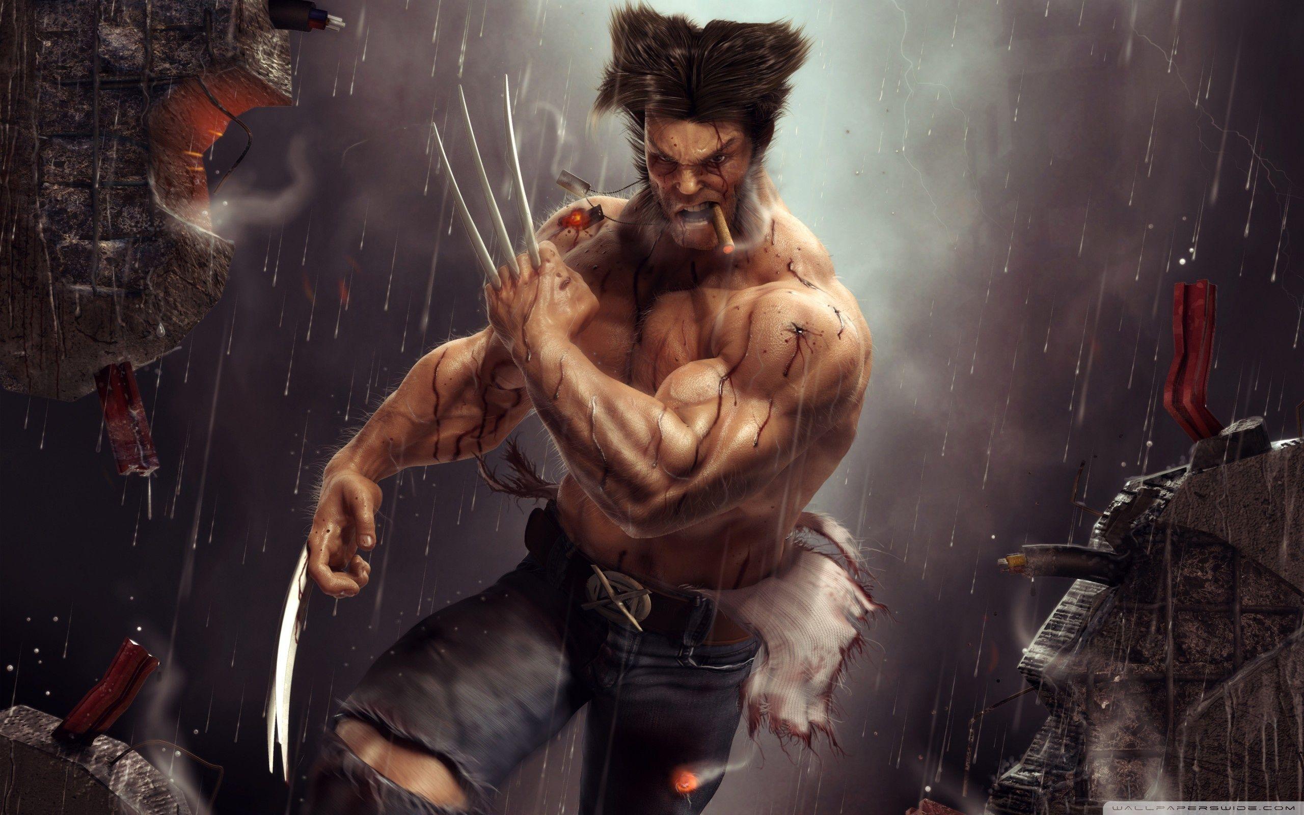 2560x1600 Wolverine Artwork ❤ 4K HD Desktop Wallpaper for 4K Ultra HD TV