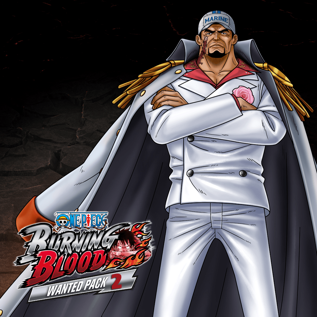 1024x1024 Aokiji Kizaru Admiral One Piece Wallpaper