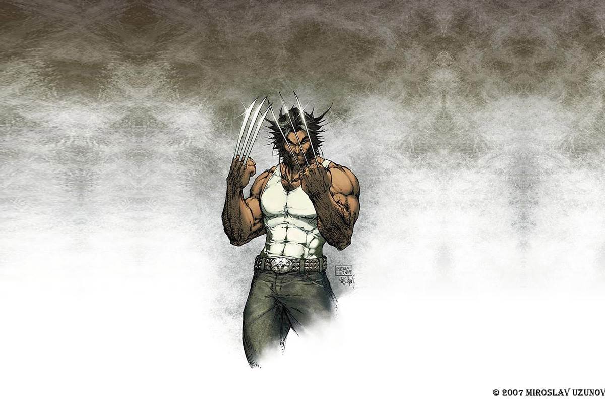 1200x793 Wolverine Wallpaper X Wallpaper 1200x793