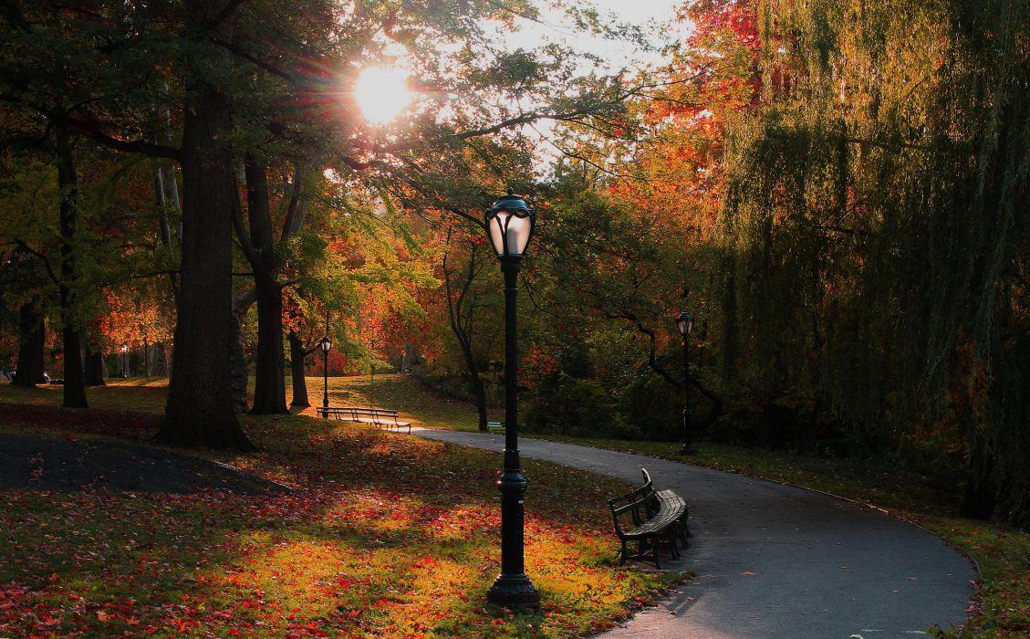 1129x700 USA Parks Autumn New York City Trees Street lights Bench