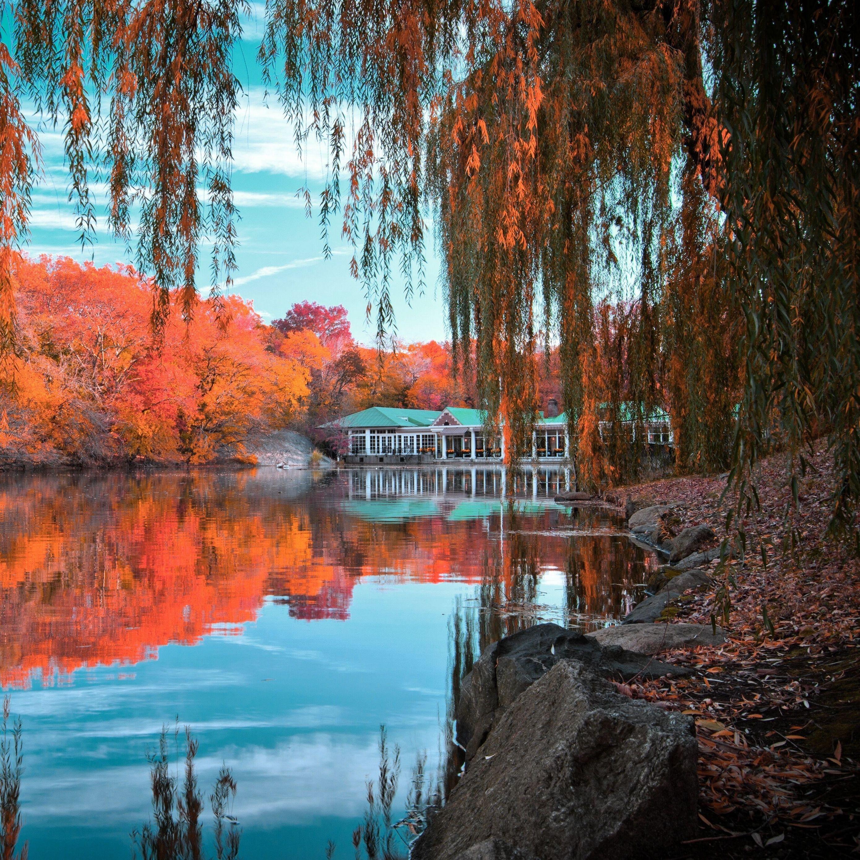 2780x2780 Download wallpaper 2780x2780 central park, new york, autumn