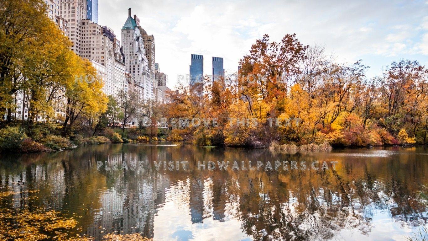 1366x768 new york city usa skyscrapers park fall