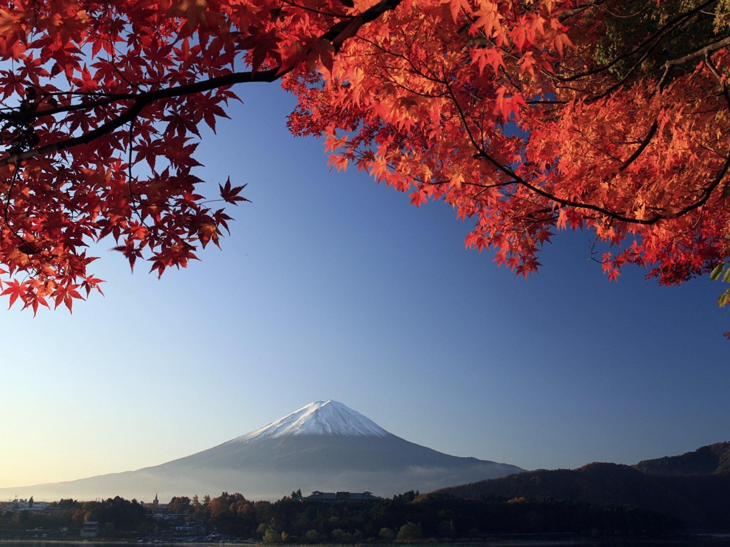 2560x1920 Japanese Landscape Wallpaper