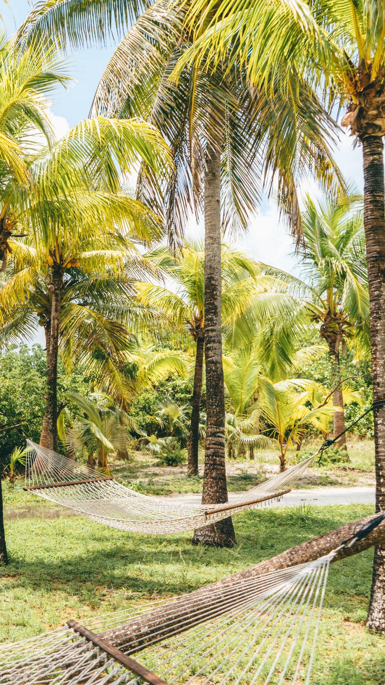1350x2400 Download wallpaper 1350x2400 palm trees, hammocks, tropics