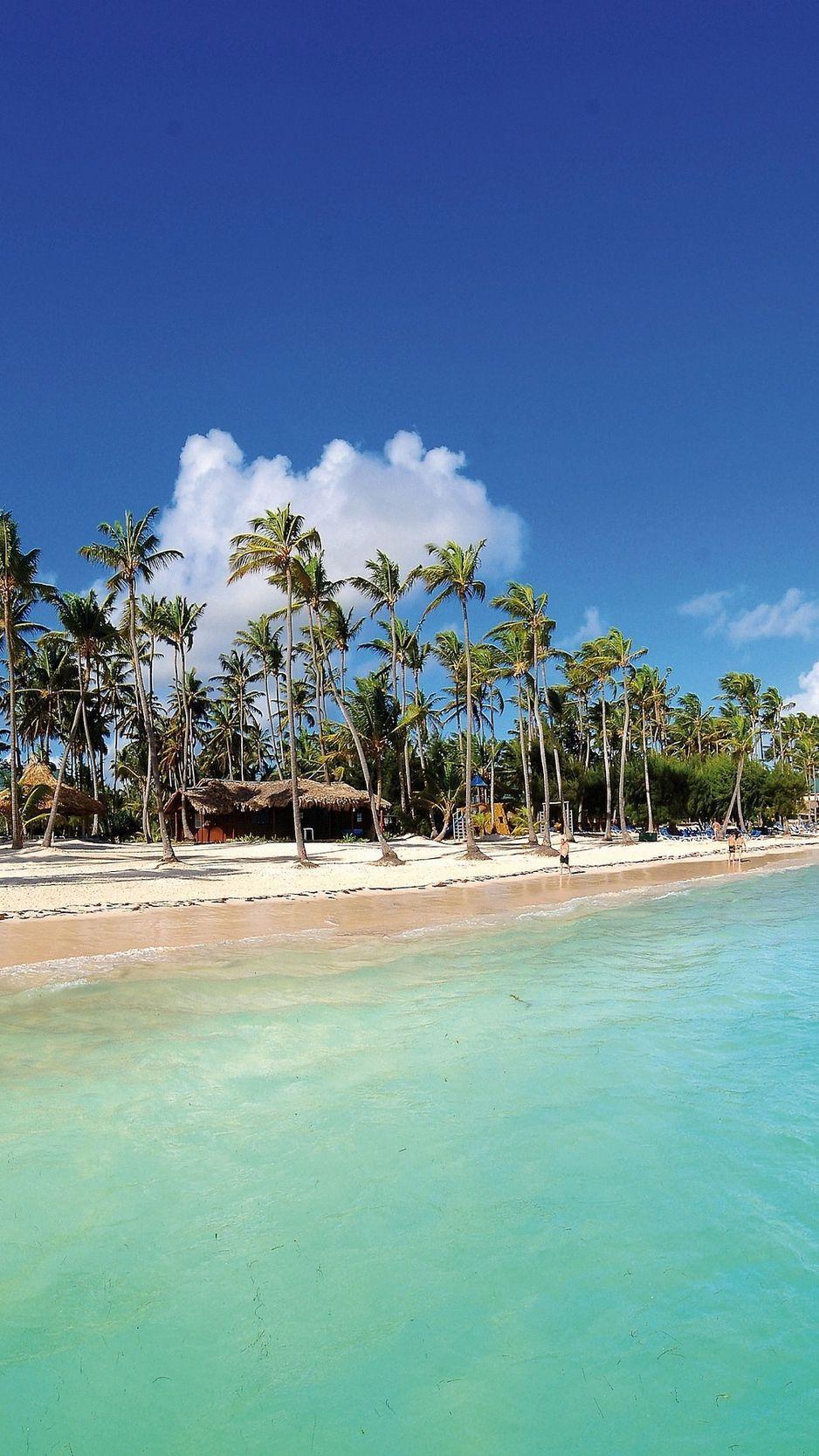 938x1668 Download wallpaper 938x1668 maldives, tropical, beach, palm trees