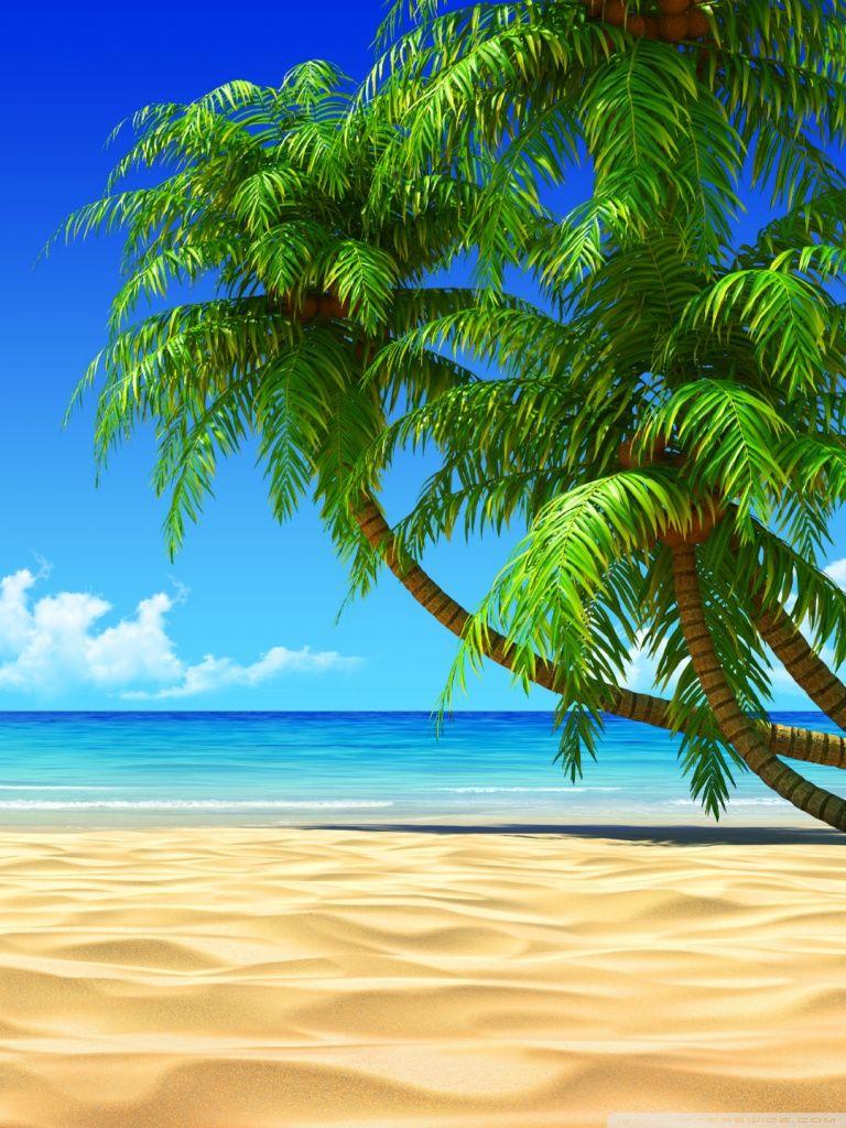 768x1024 Tropical Beach Wallpaper