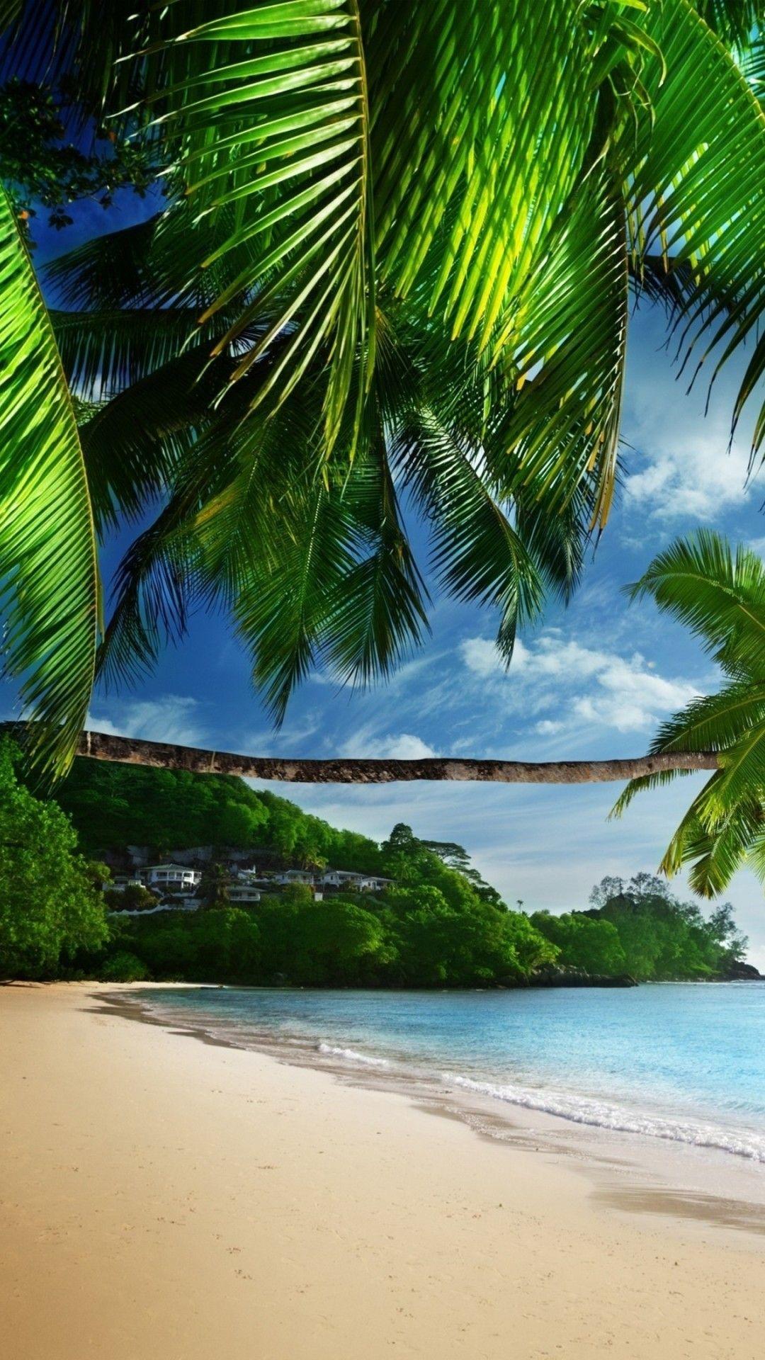 Beach Tropical iPhone Wallpapers - Top Free Beach Tropical iPhone