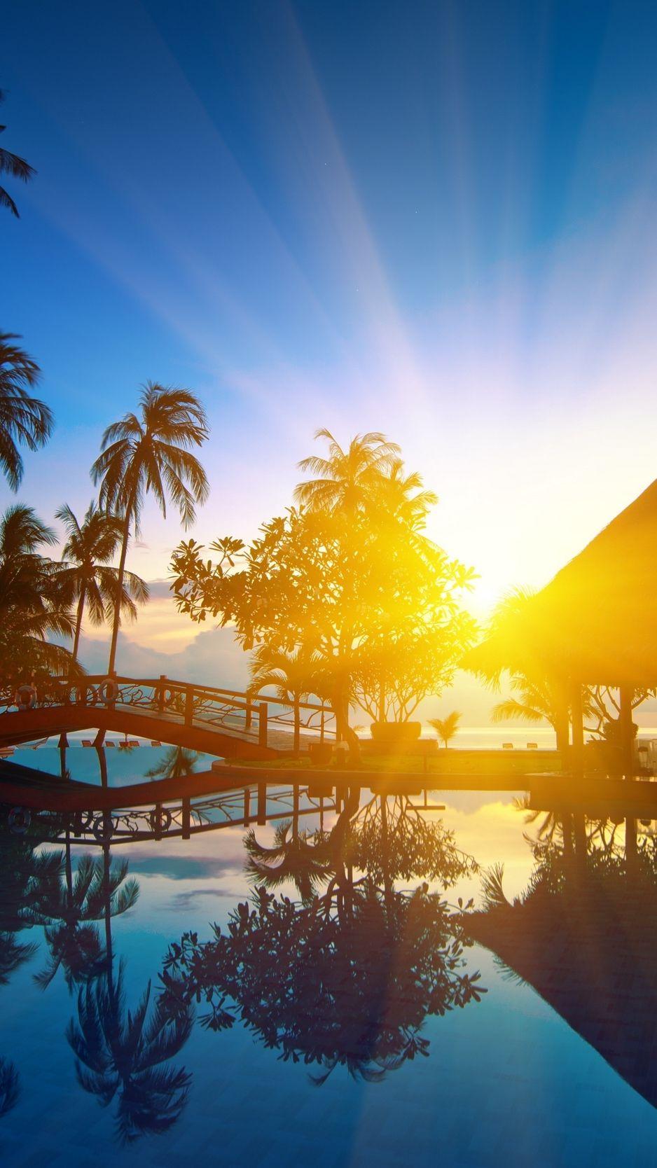 938x1668 Sunrise, thailand, paradise, trees background