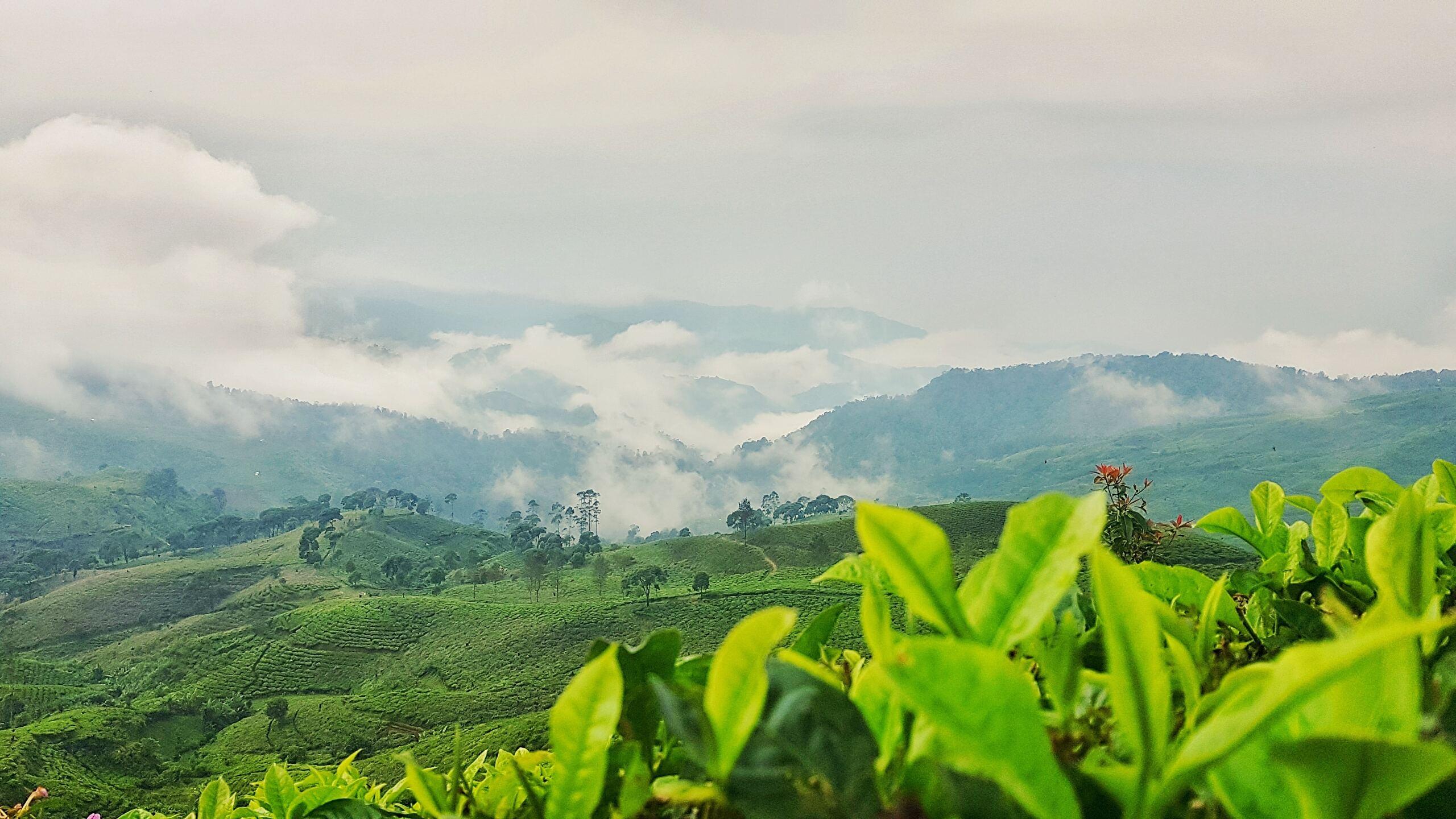 Indonesia HD Wallpapers - Top Free Indonesia HD Backgrounds