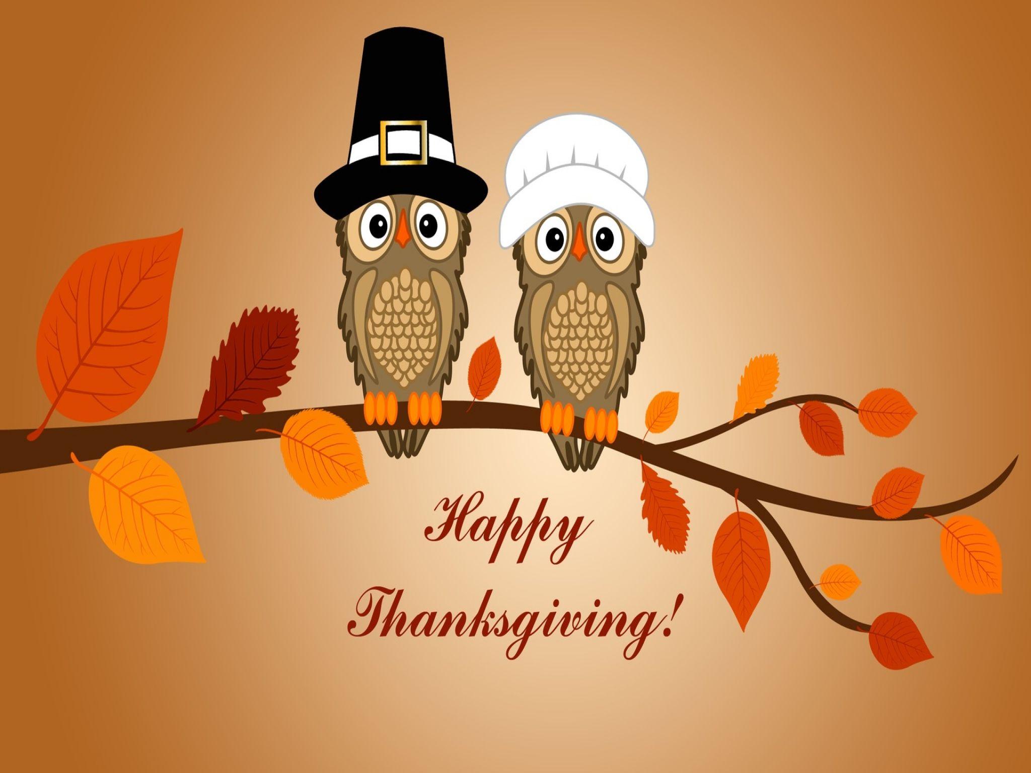 2048x1536 Happy Thanksgiving Day Owls Sitting Latest HD Wallpaper
