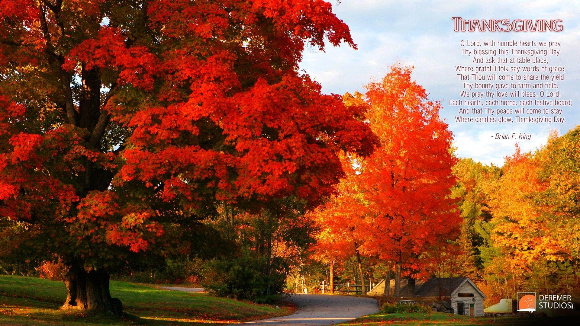 1920x1080 Most Popular Fall Thanksgiving Desktop Background FULL HD 1080p