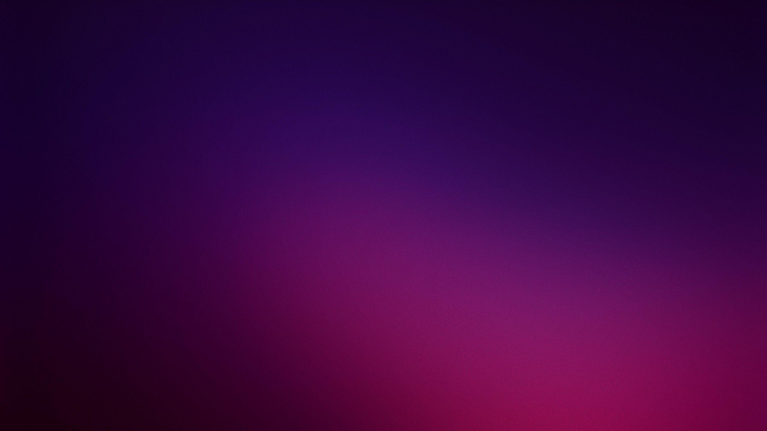 2560x1440 Color HD Wallpaper