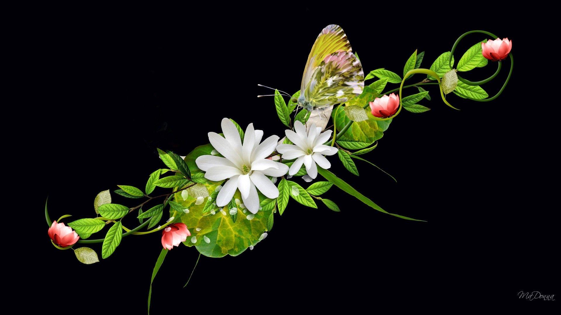 1920x1080 HD Flower Wallpaper background picture