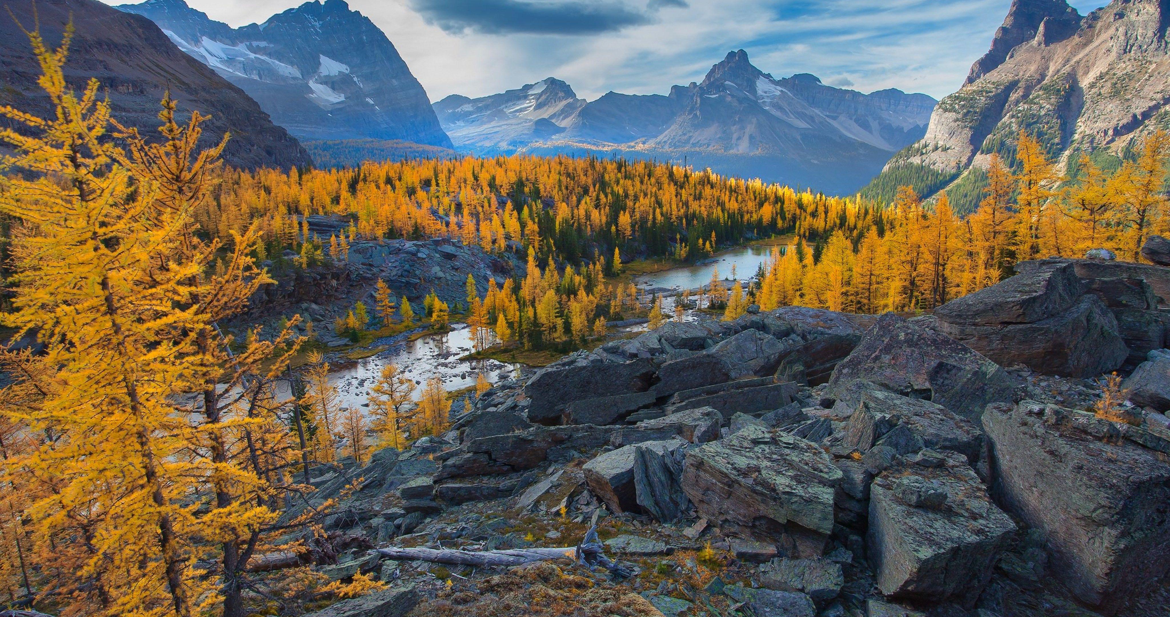 Bc pics. Британская Колумбия British Columbia Канада. Британская Колумбия природа. Британская Колумбия Канада природа. Британская Колумбия 4к.