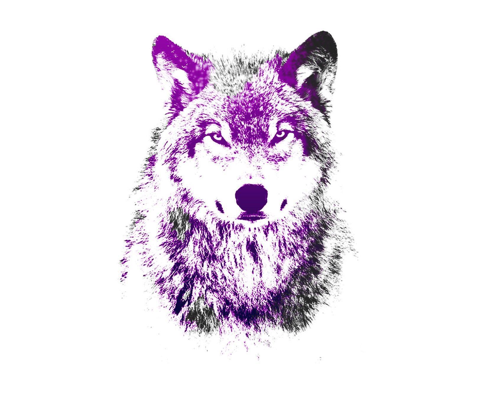 Purple Wolf Wallpapers Top Free Purple Wolf Backgrounds Wallpaperaccess