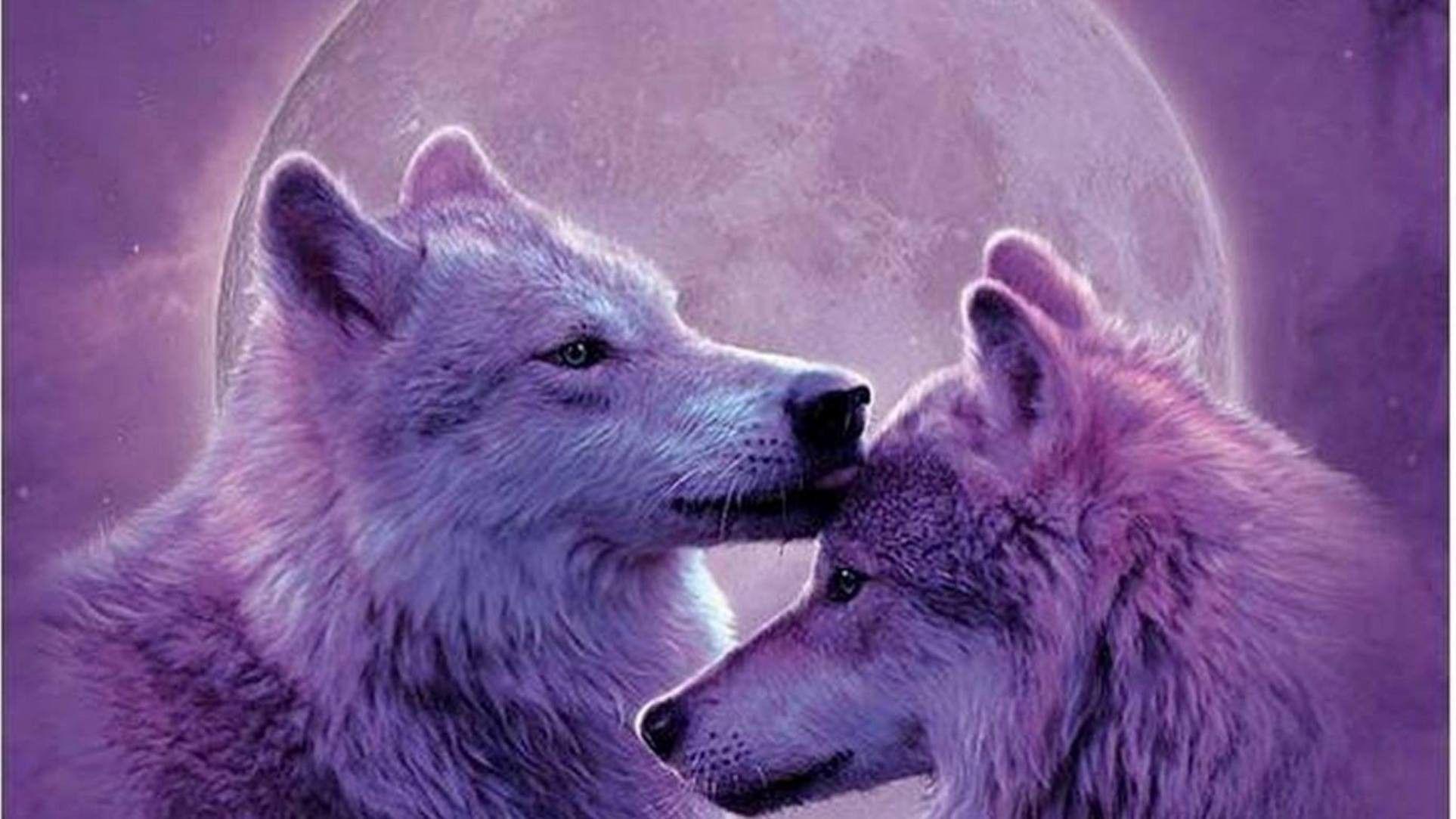 Share 54 purple wolf wallpaper latest  incdgdbentre