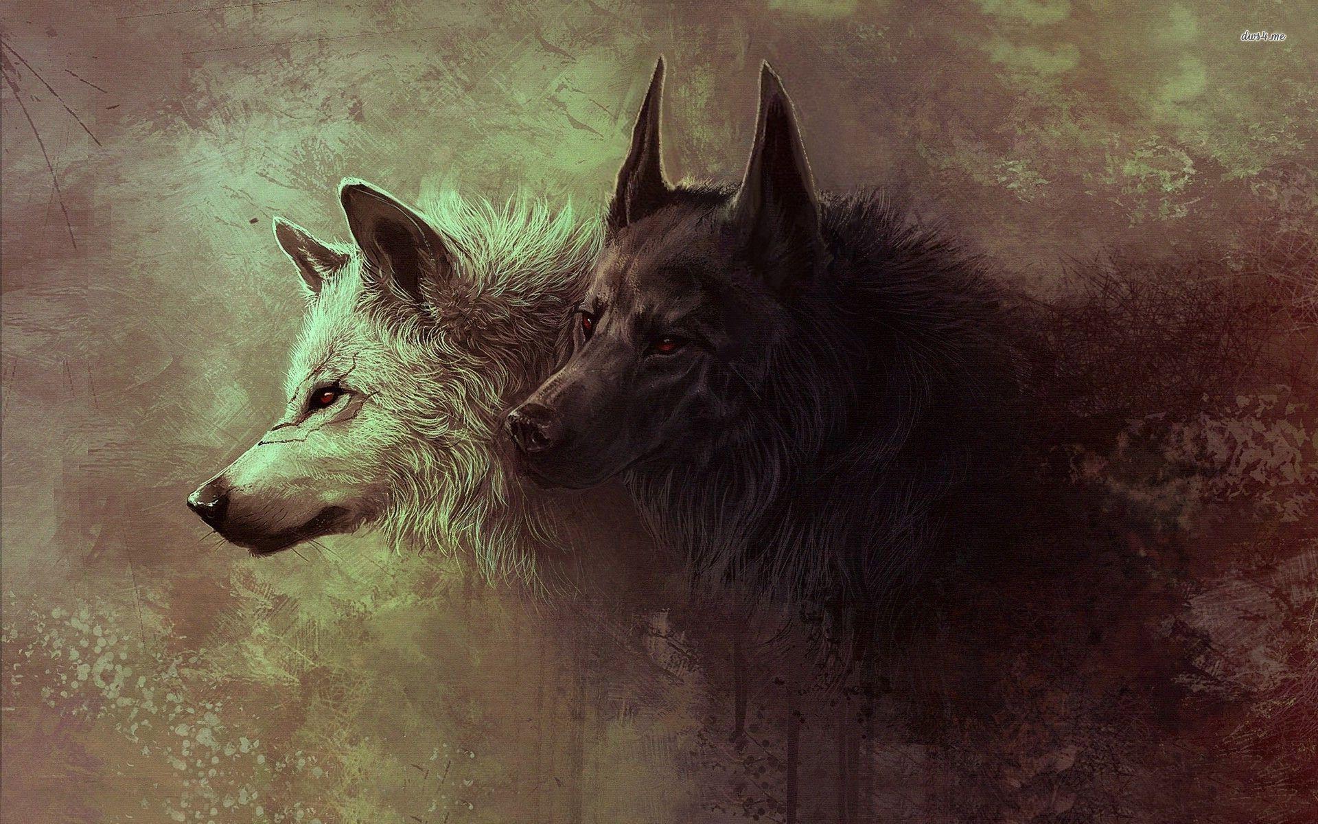 1920x1200 Black and White Wolf Desktop Wallpaper at