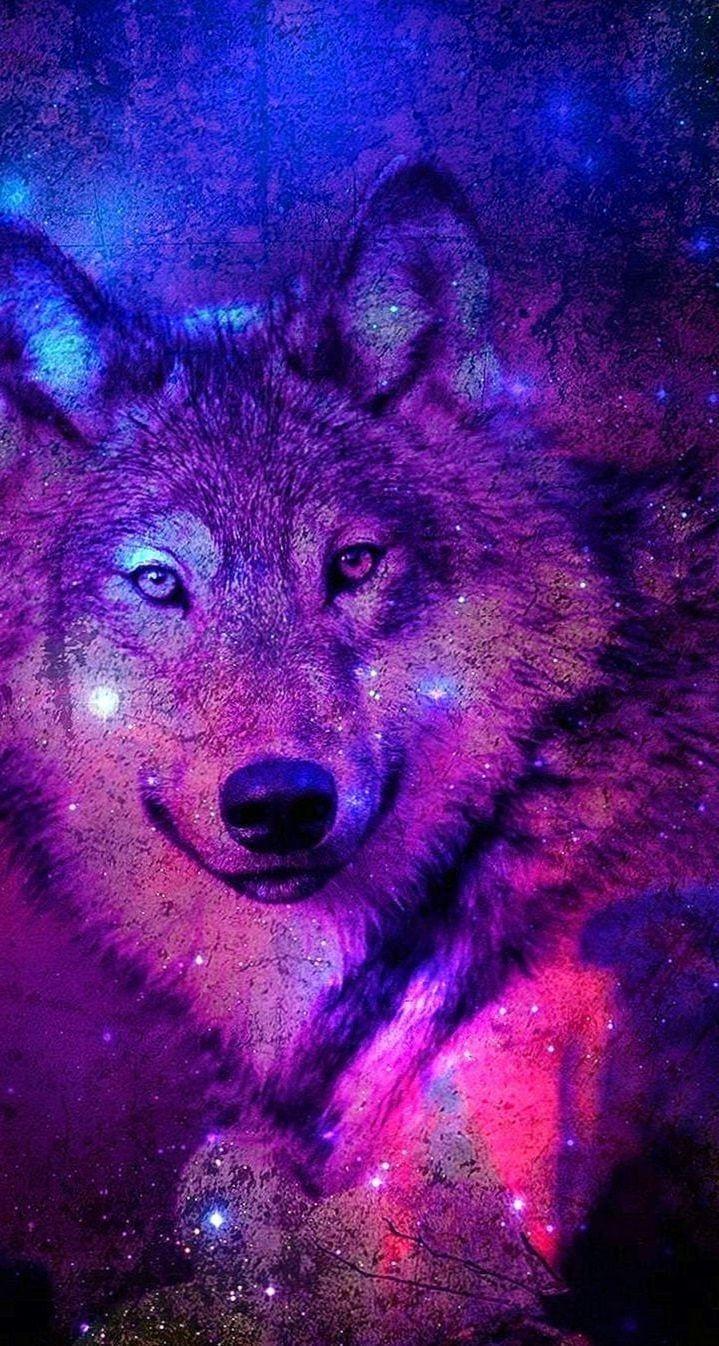 719x1346 Wolf Wallpaper Image Wallpaper.Pro