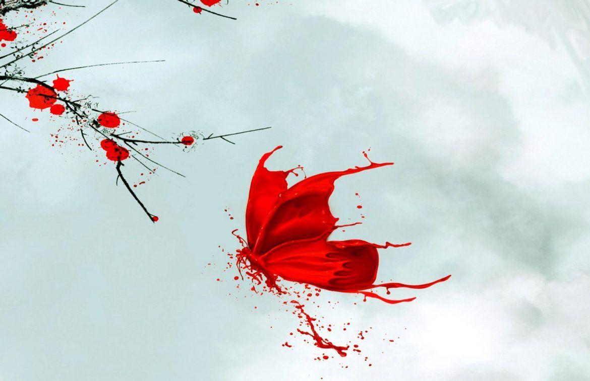 1170x757 Butterfly Wallpaper New Tab