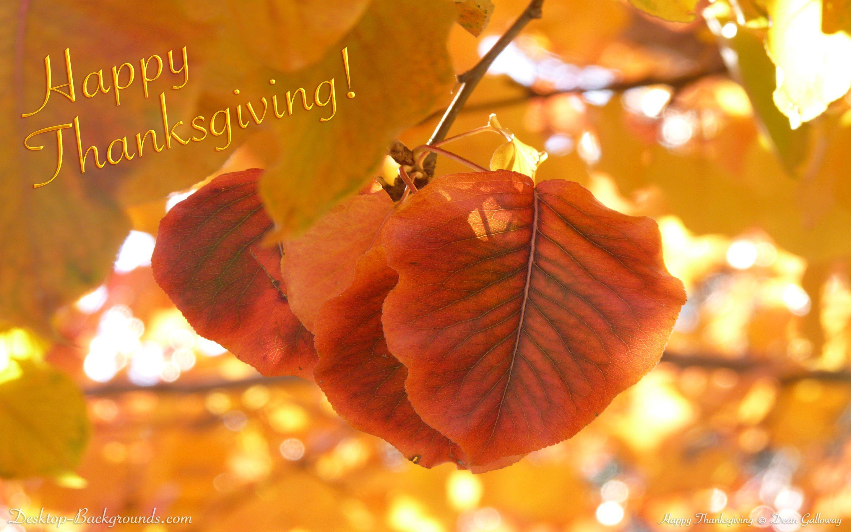 2880x1800 Happy Thanksgiving Desktop