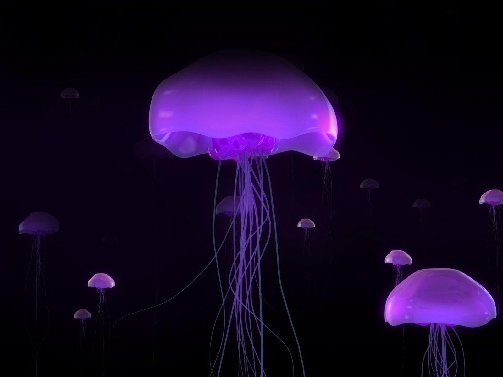 1600x1200 Purple Jellyfish Computer Wallpaper 28018 1600x1200px