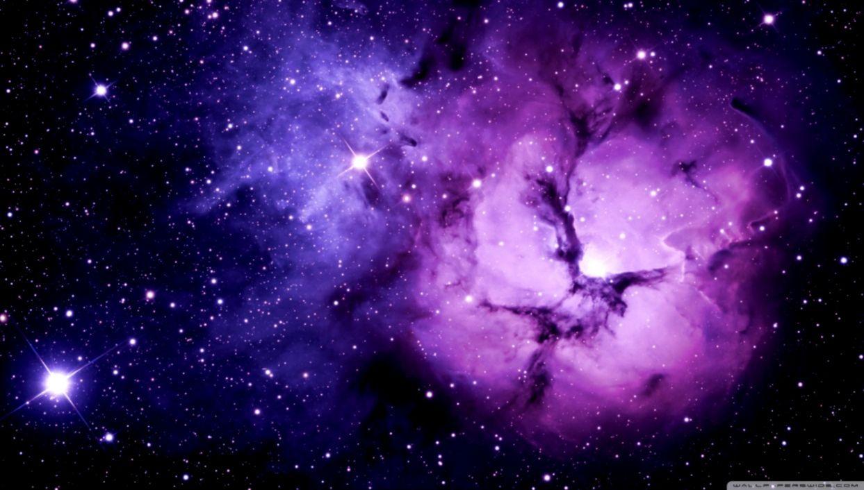 1243x706 Purple Desktop Wallpaper