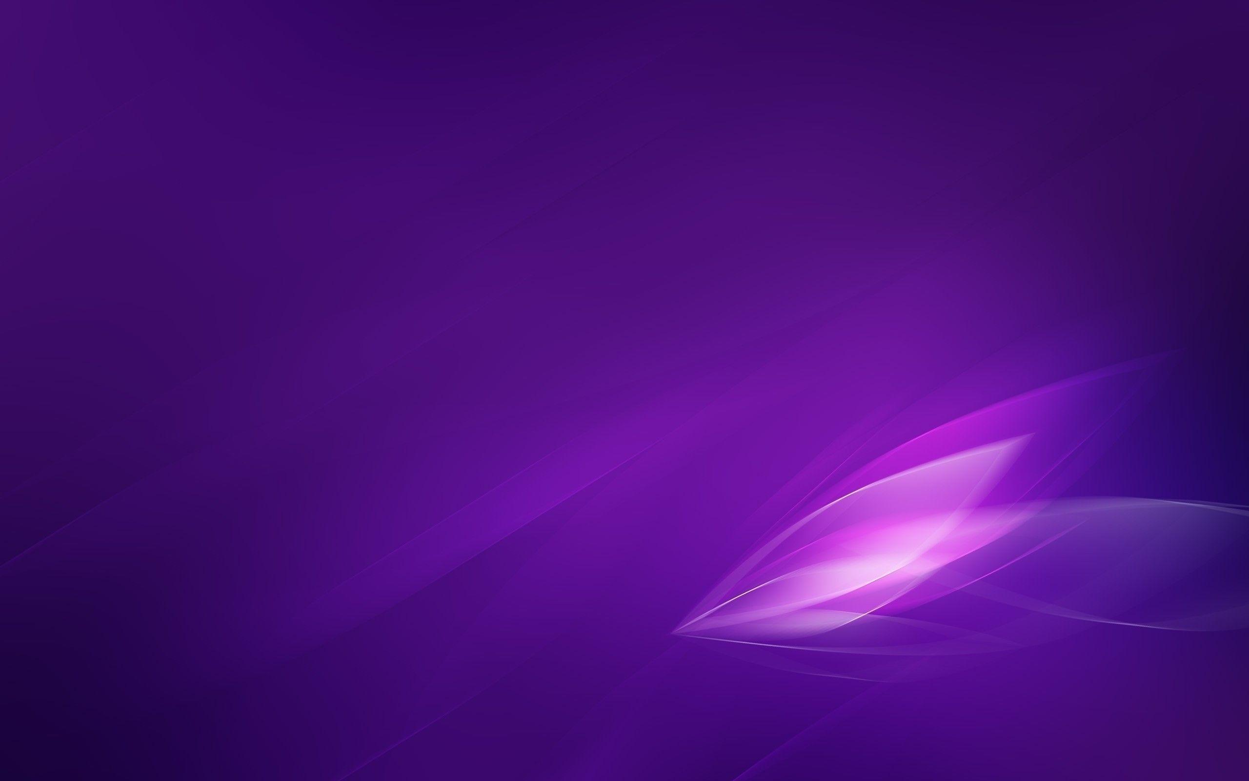 2560x1600 Purple Desktop Wallpaper background picture