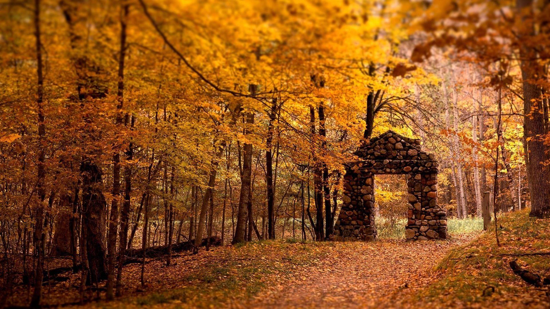 1920x1080 1920X1080 Fall Wallpaper