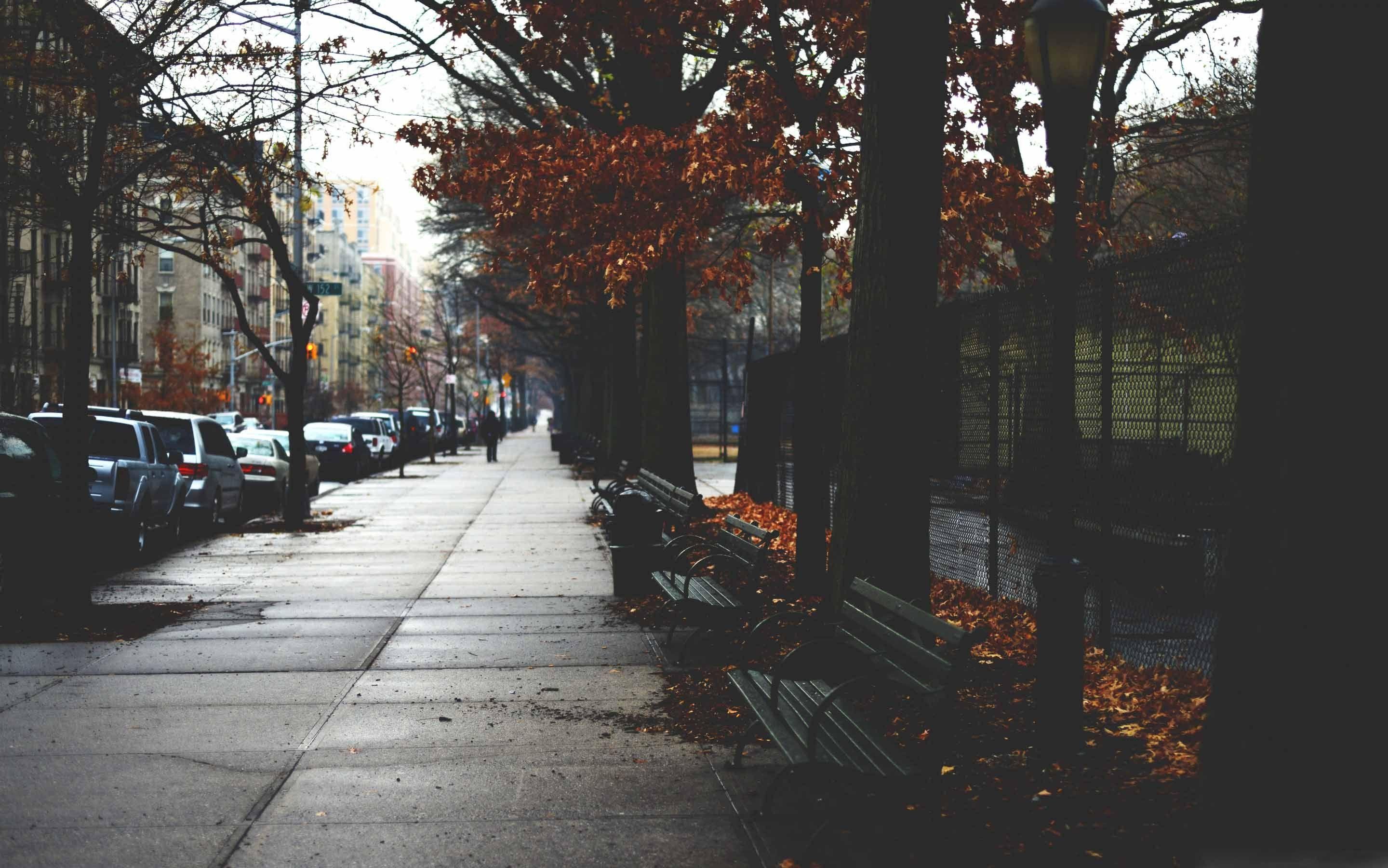 2880x1800 Cold Autumn Day In New York Mac Wallpaper Download