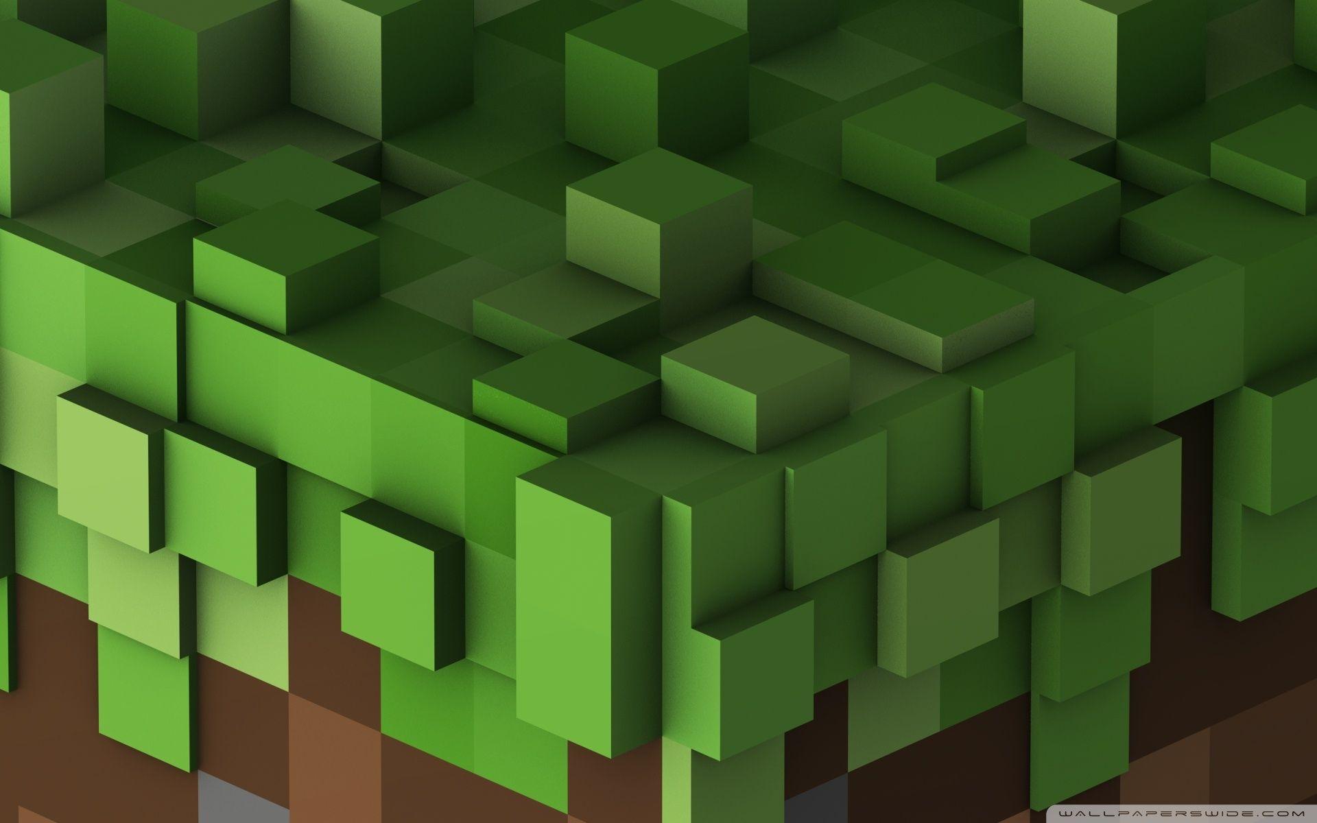 1920x1200 Grass Block ❤ 4K HD Desktop Wallpaper for 4K Ultra HD TV
