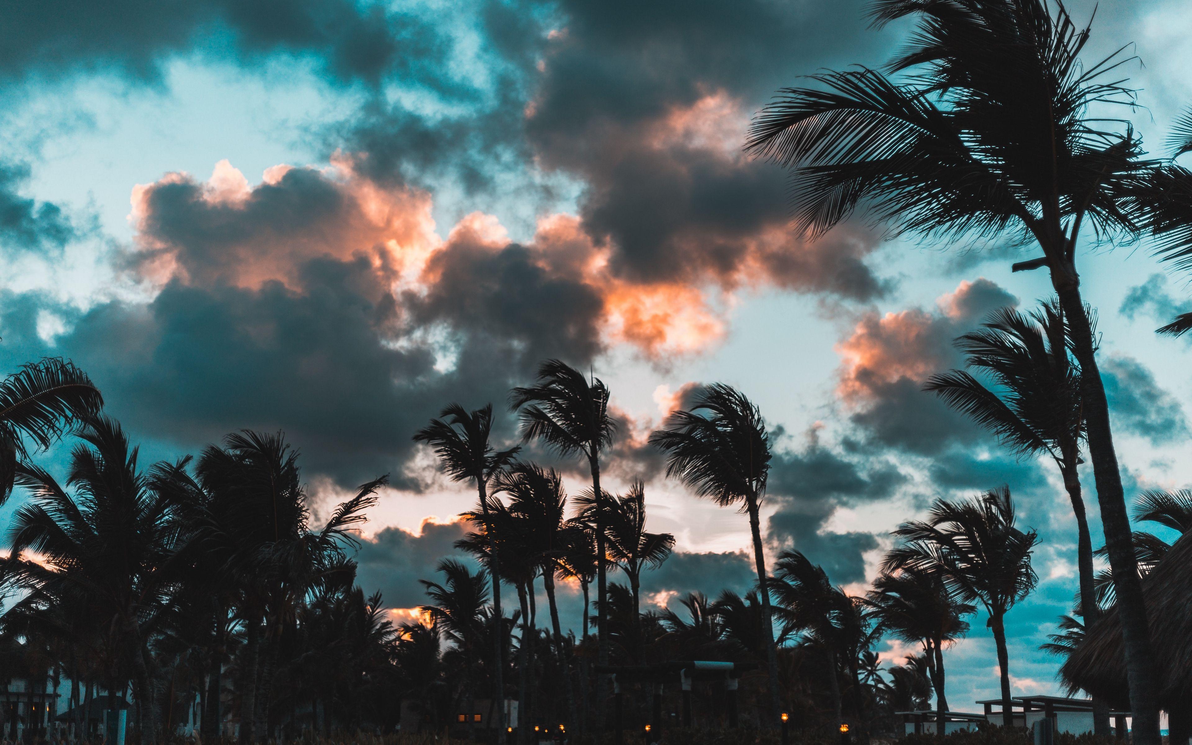 3840x2400 Download wallpaper 3840x2400 palms, wind, clouds, tropics