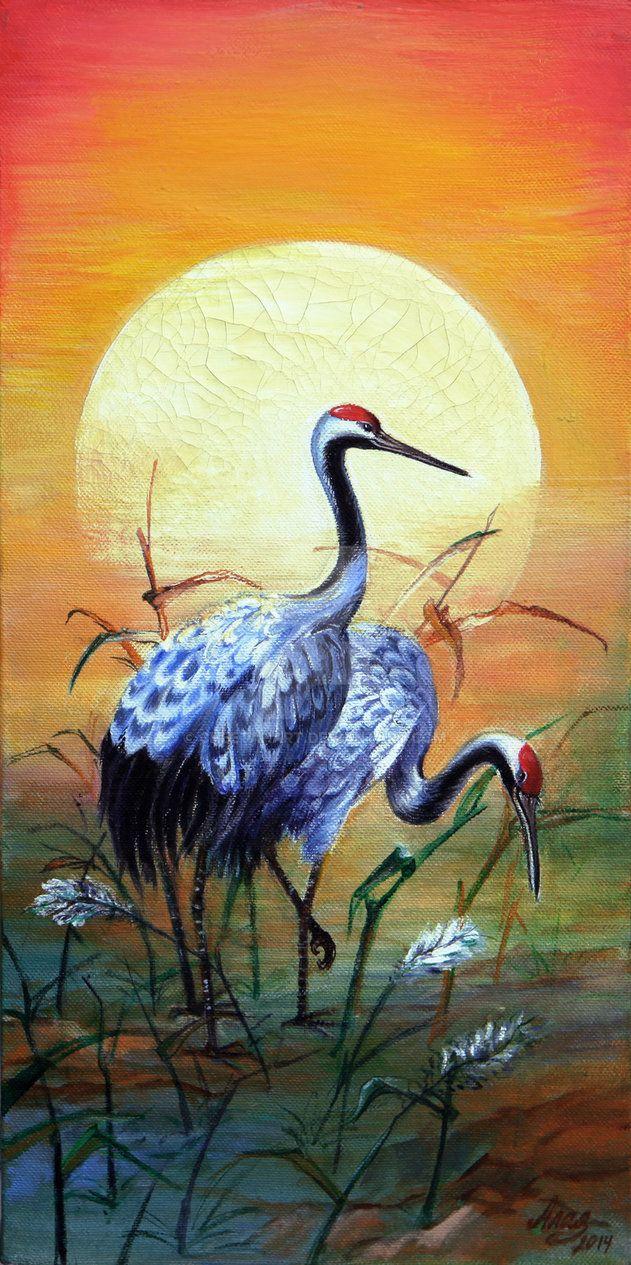 Japanese Crane Birds Wallpapers Top Free Japanese Crane Birds
