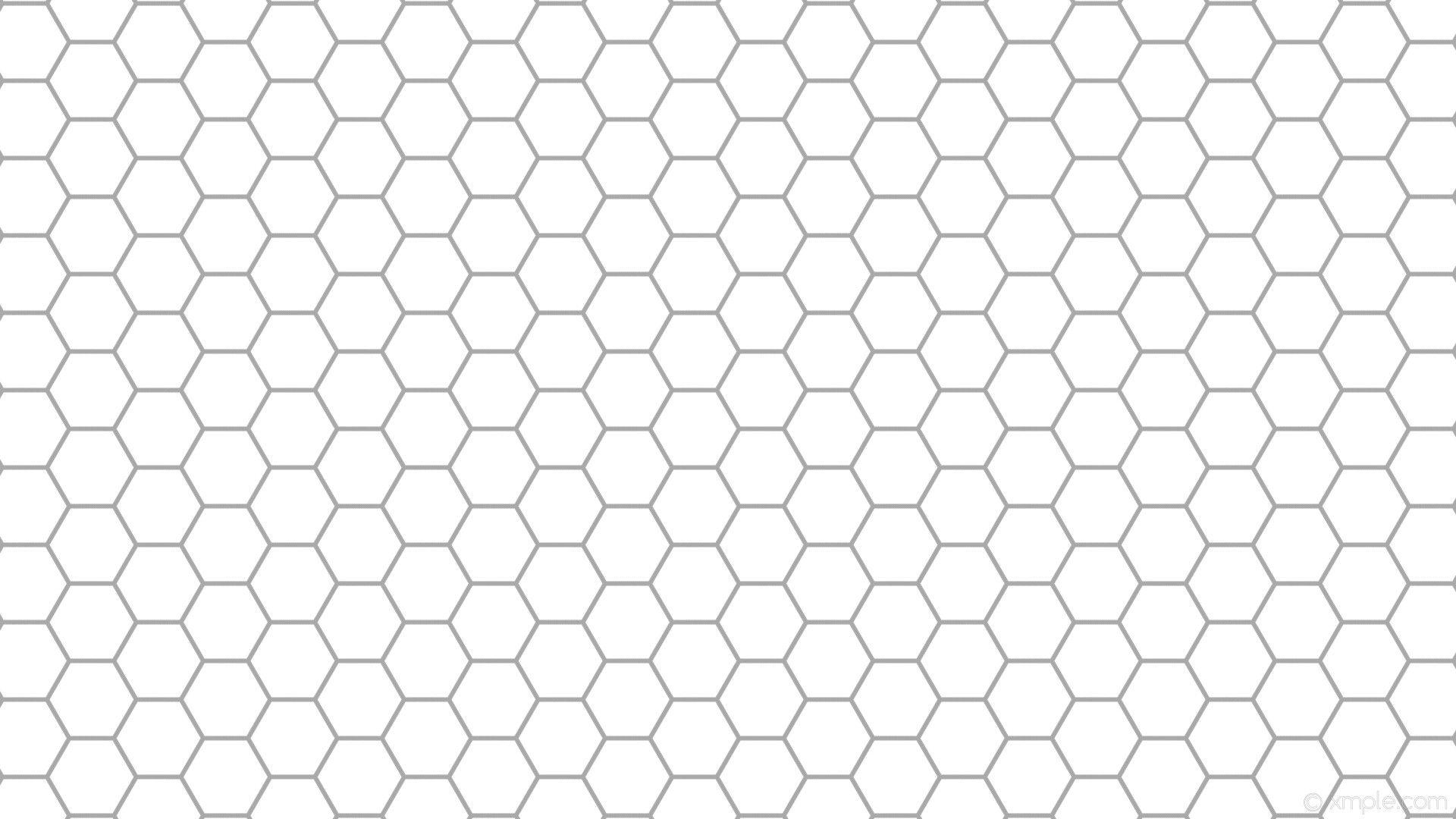 1920x1080 White Wallpaper