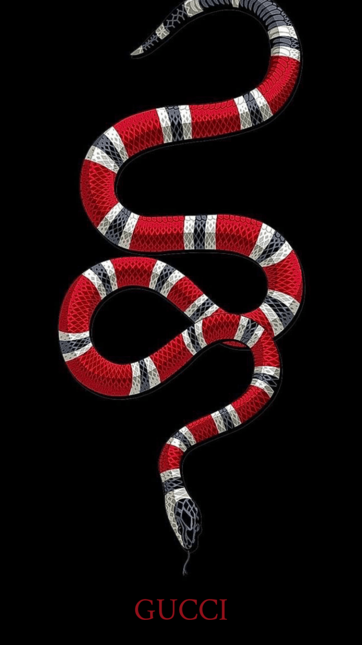 720x1281 Gucci Snake Wallpaper iPhone