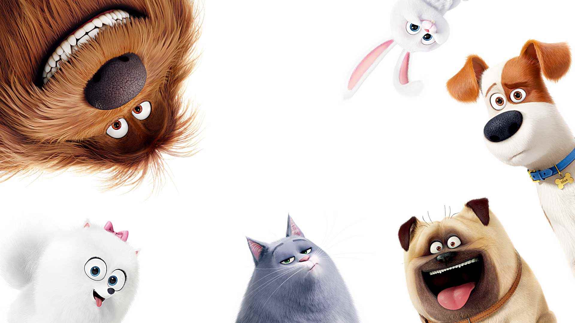 The Secret Life of Pets free download