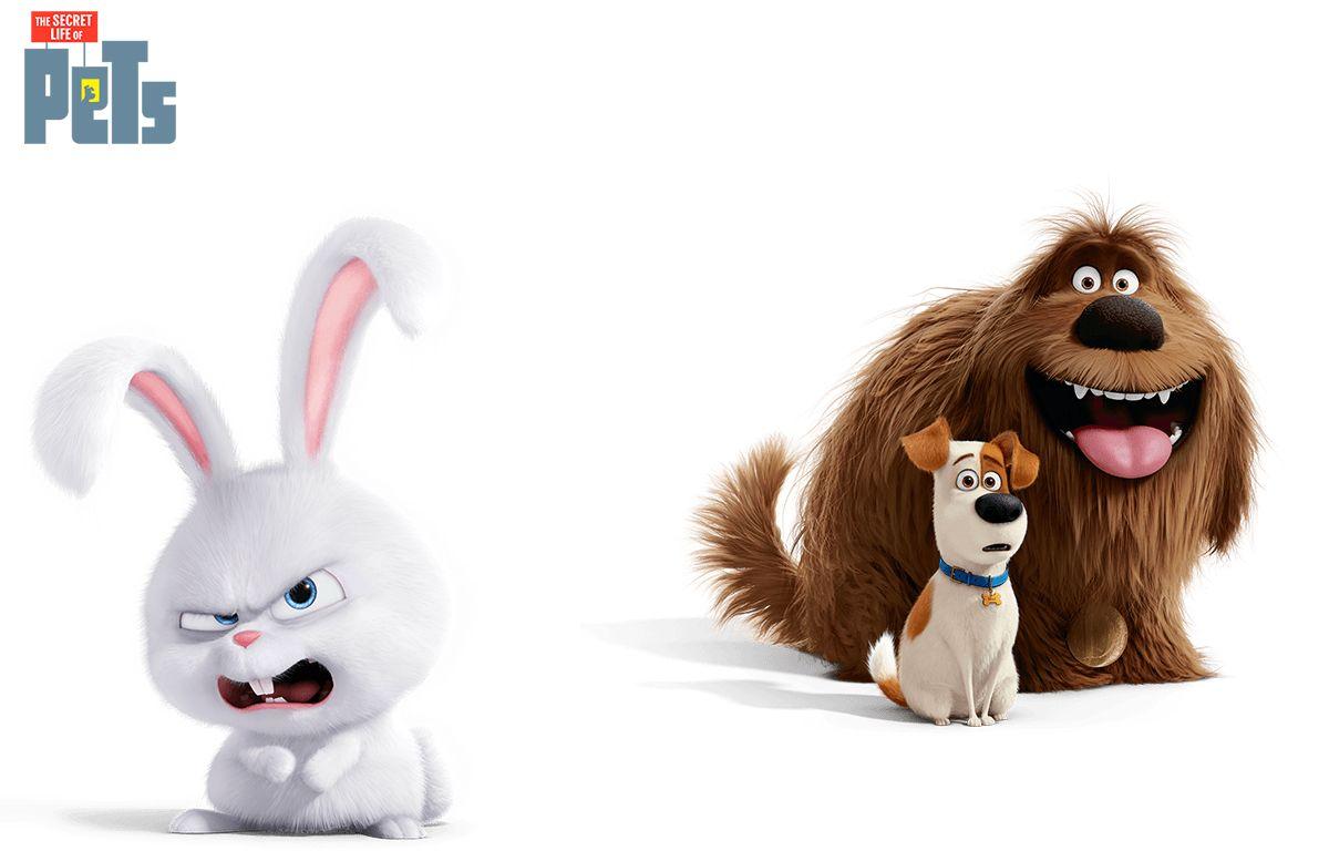 1200x768 The Secret Life of Pets Rabbit and Dogs wallpaper 2018
