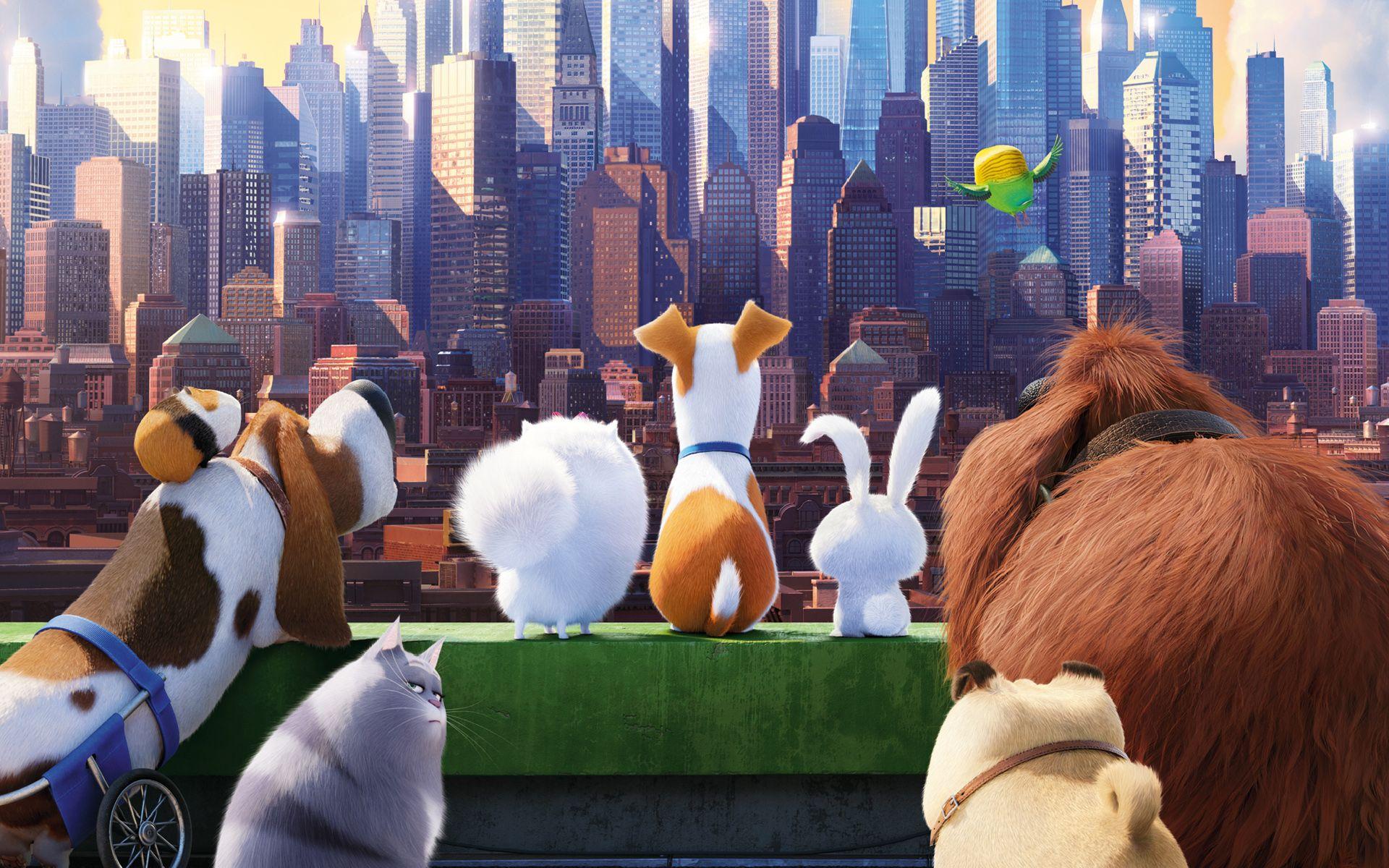 1920x1200 Secret Life of Pets Wallpaper