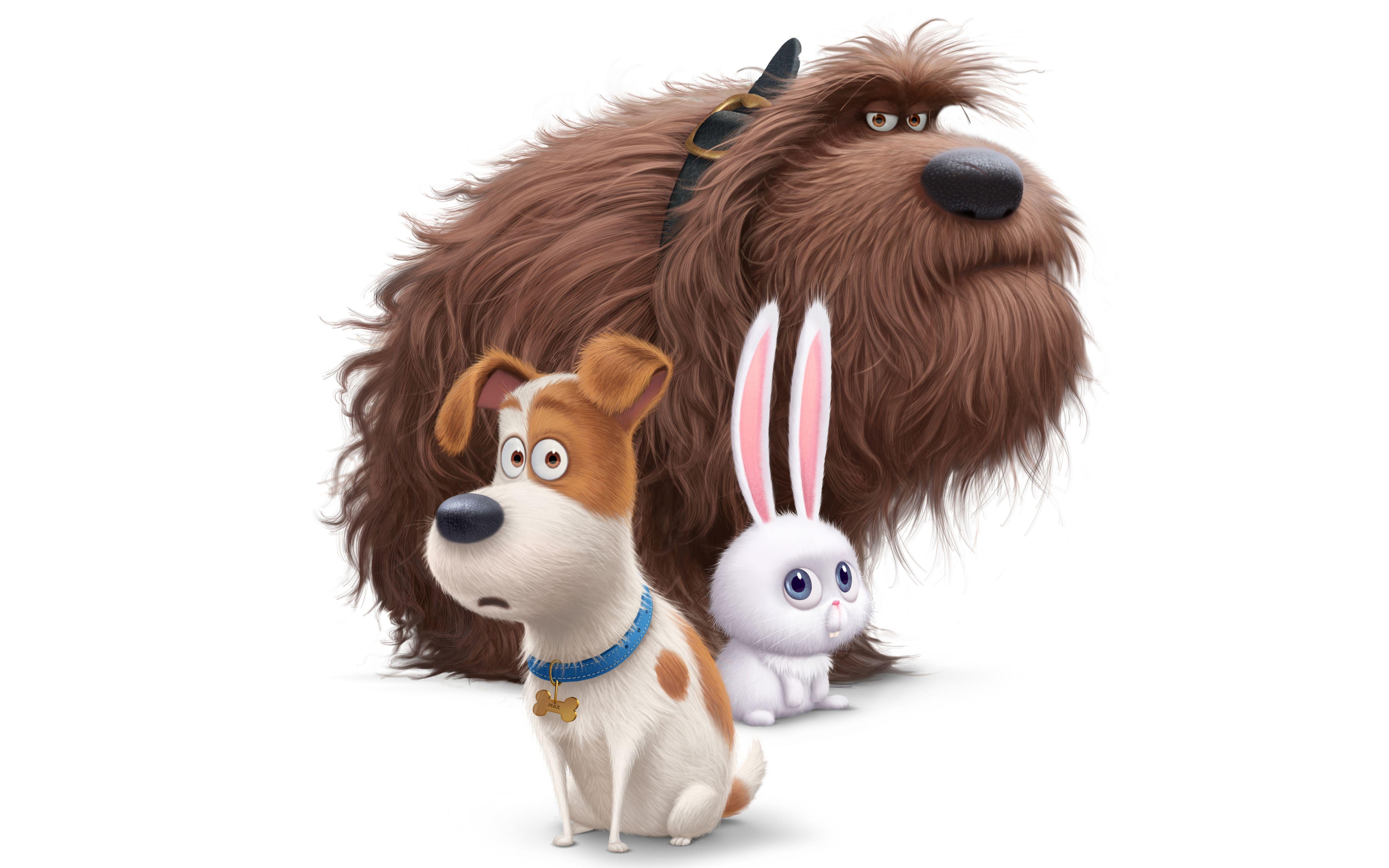 5000x3125 The Secret Life Of Pets Secret Life Of Pets Wallpaper