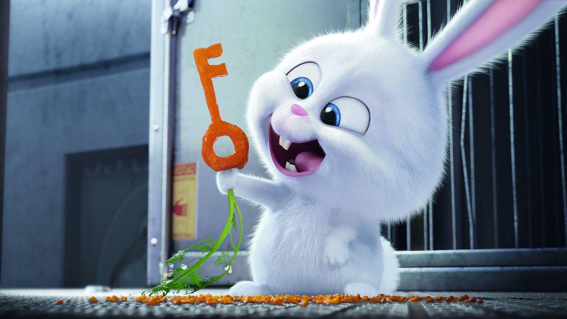 1920x1080 Download wallpaper 1920x1080 the secret life of pets, 2016