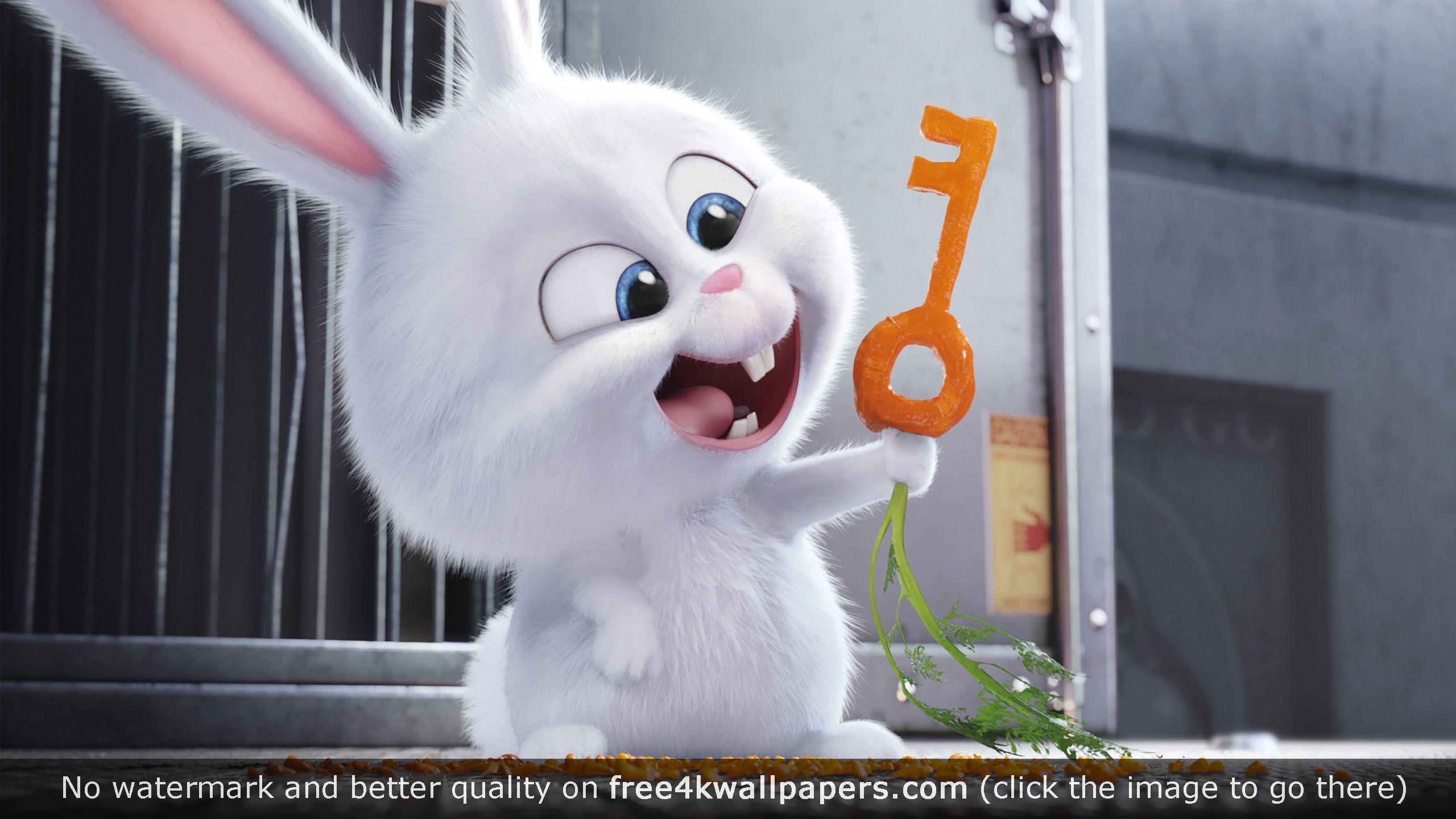 2560x1440 Snowball The Secret Life of Pets wallpaper. Cute cartoon