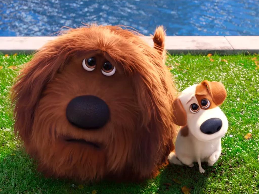 1024x768 Wall.Cookdiary.net Secret Life of Pets Wallpaper HD 4