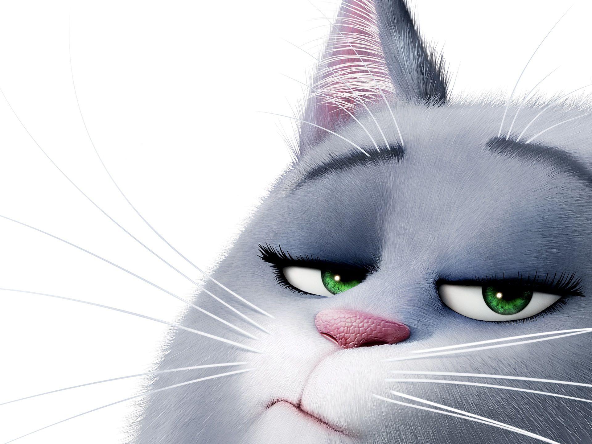 1920x1440 Wallpaper Chloe, The Secret Life of Pets 1920x1440 HD