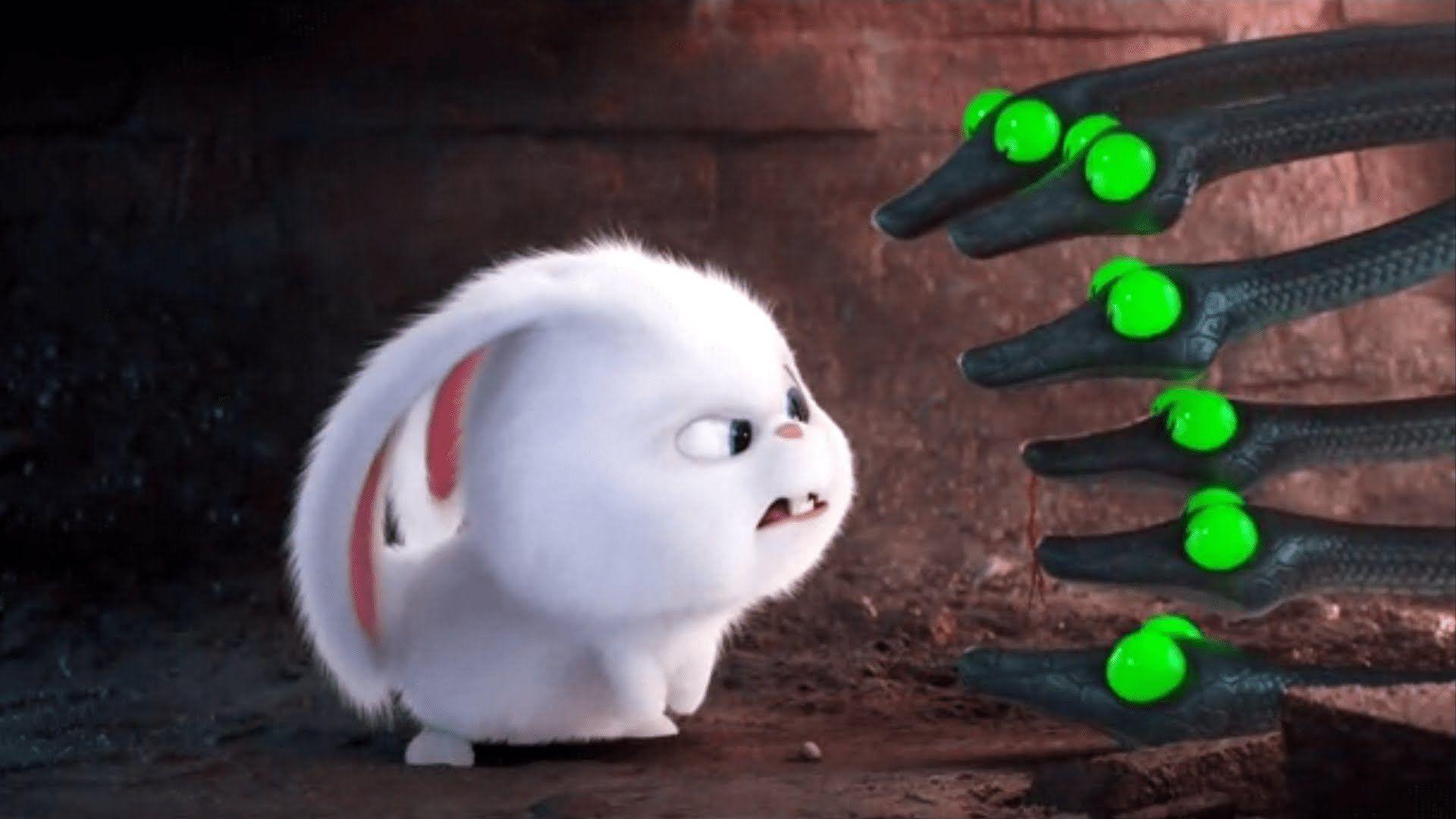 1920x1080 The Secret Life Of Pets 1920x1080