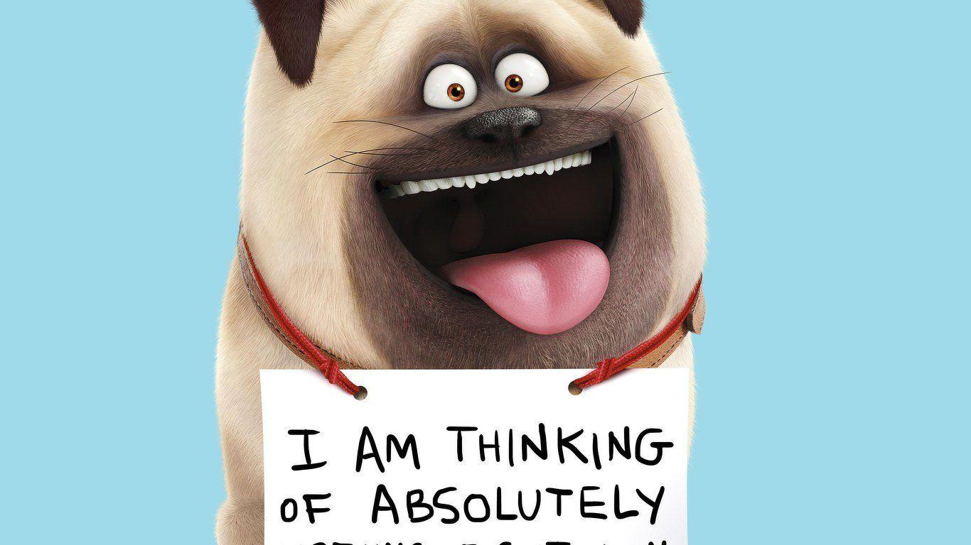1366x768 Mel The Secret Life of Pets, HD Movies Wallpaper Animated