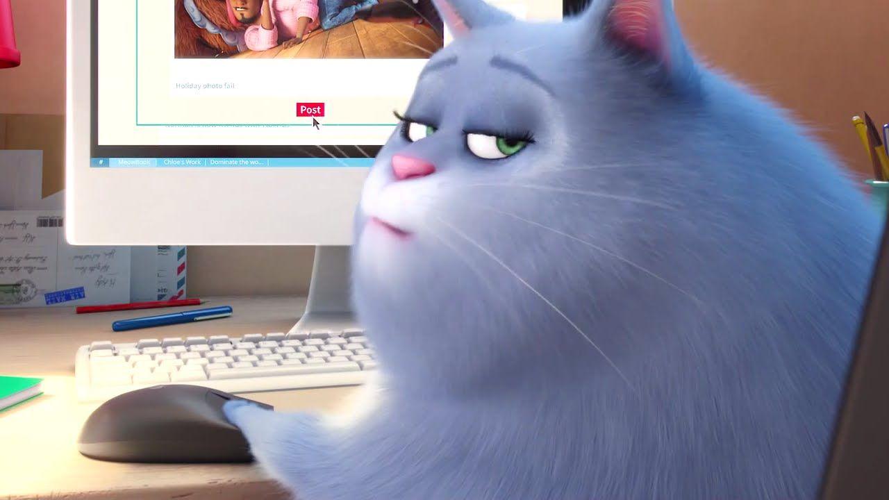 1280x720 The Secret Life Of Cats HD Wallpaper