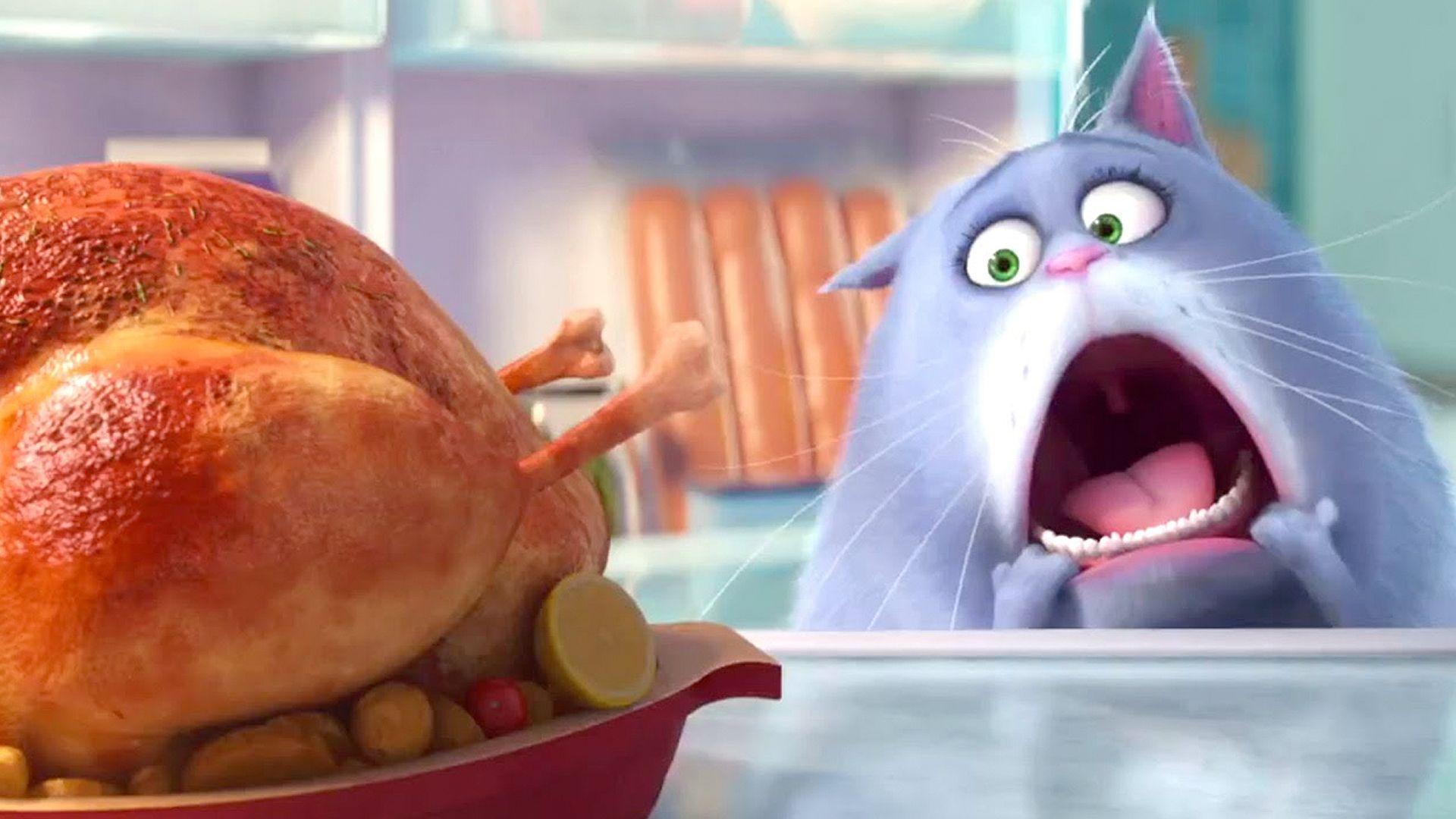 1920x1080 The Secret Life Of Pets Wallpaper 1920x1080